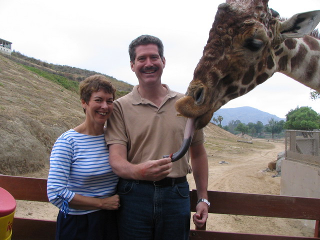Feeding a Giraffe