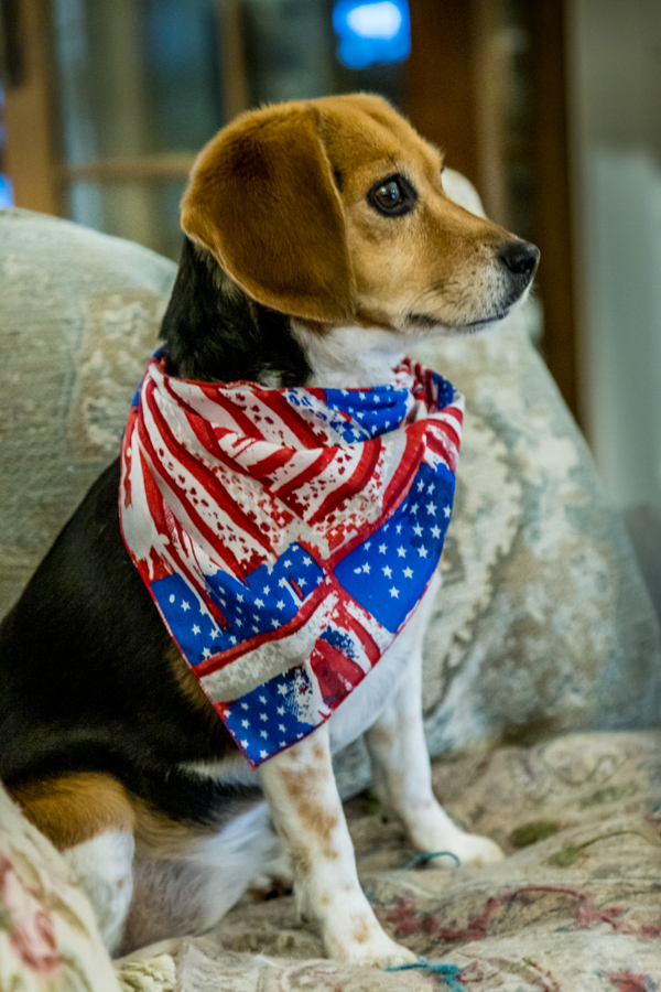 Ready for Fireworks