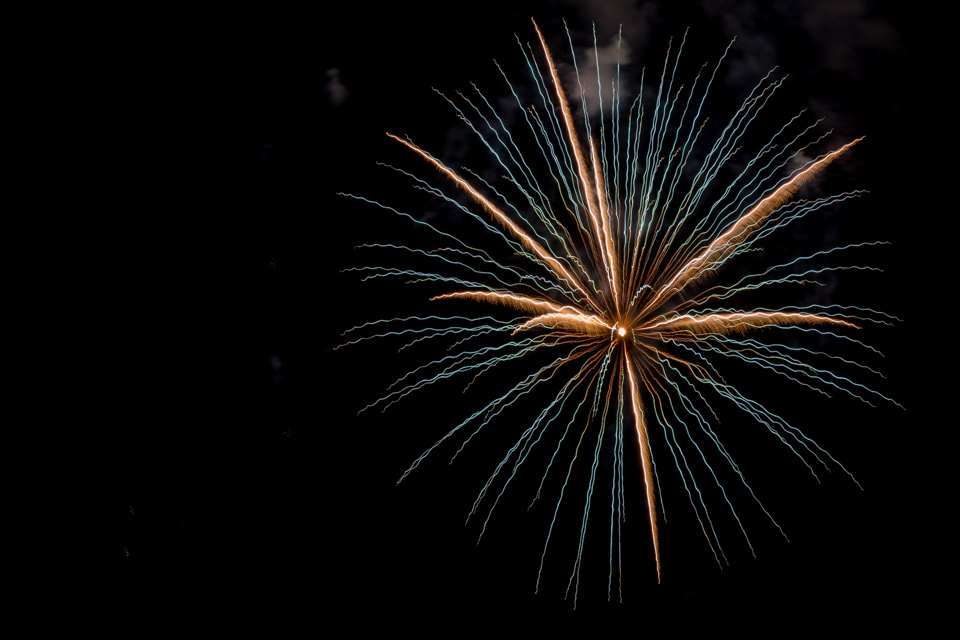 Fire Flower