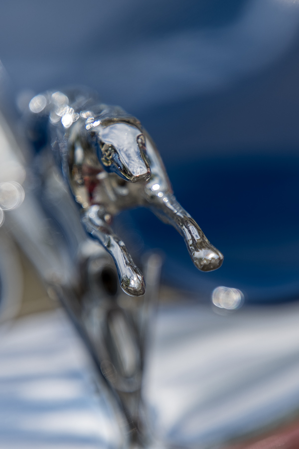 Leaping Car