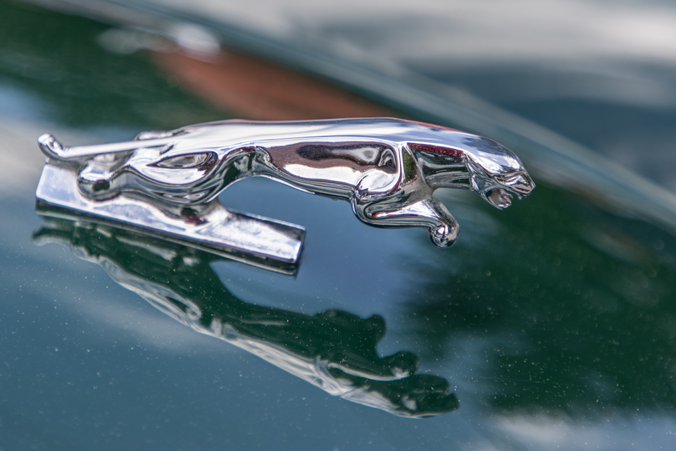 Jag