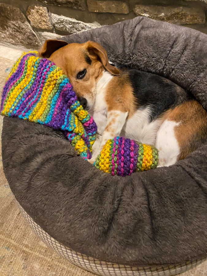 New Blanket