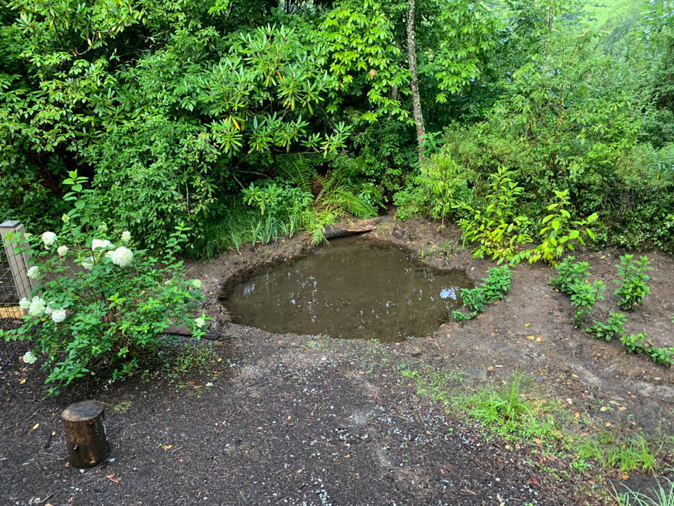 The Bog
