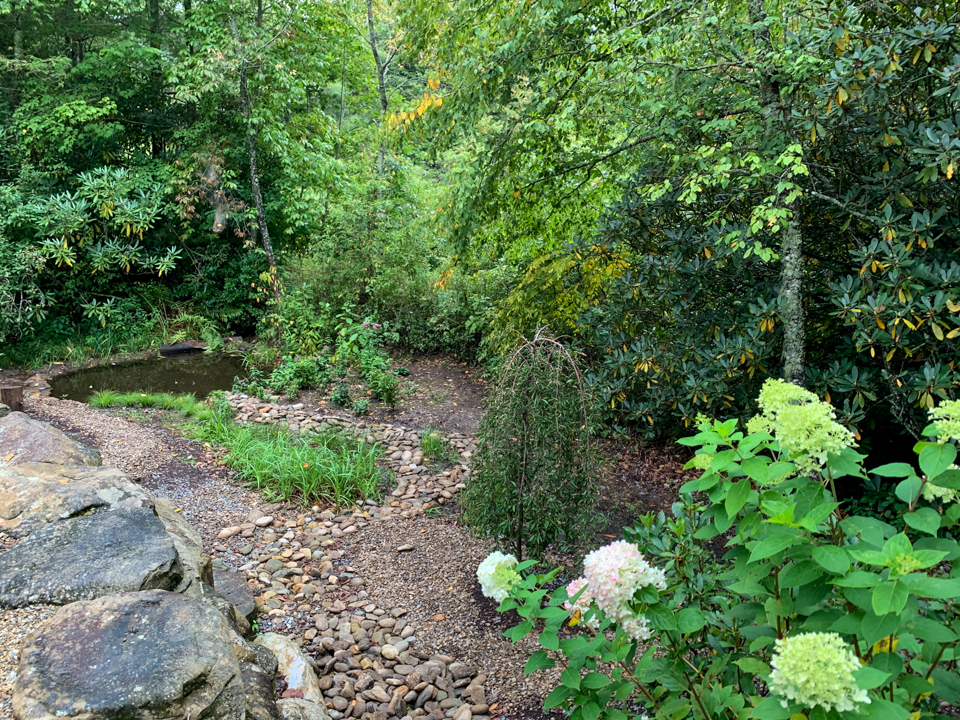 Backyard Bog