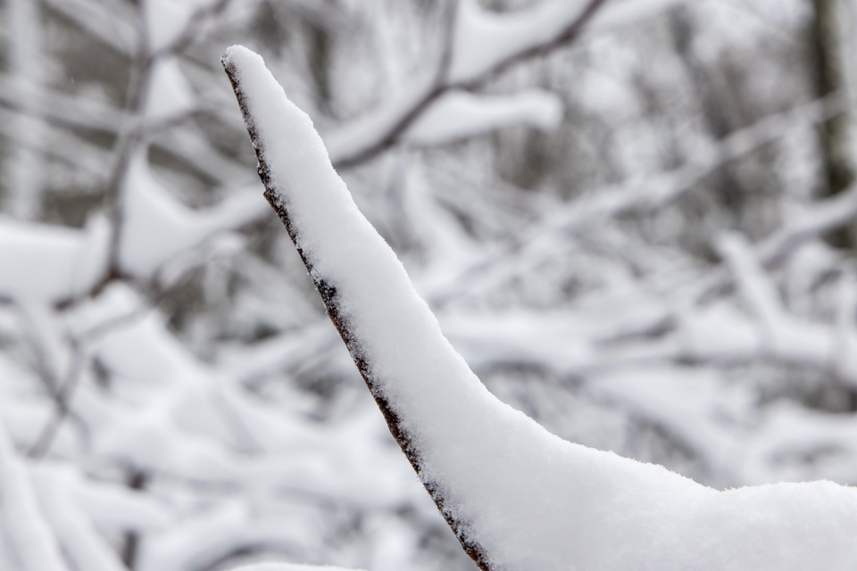 Stacked Snow