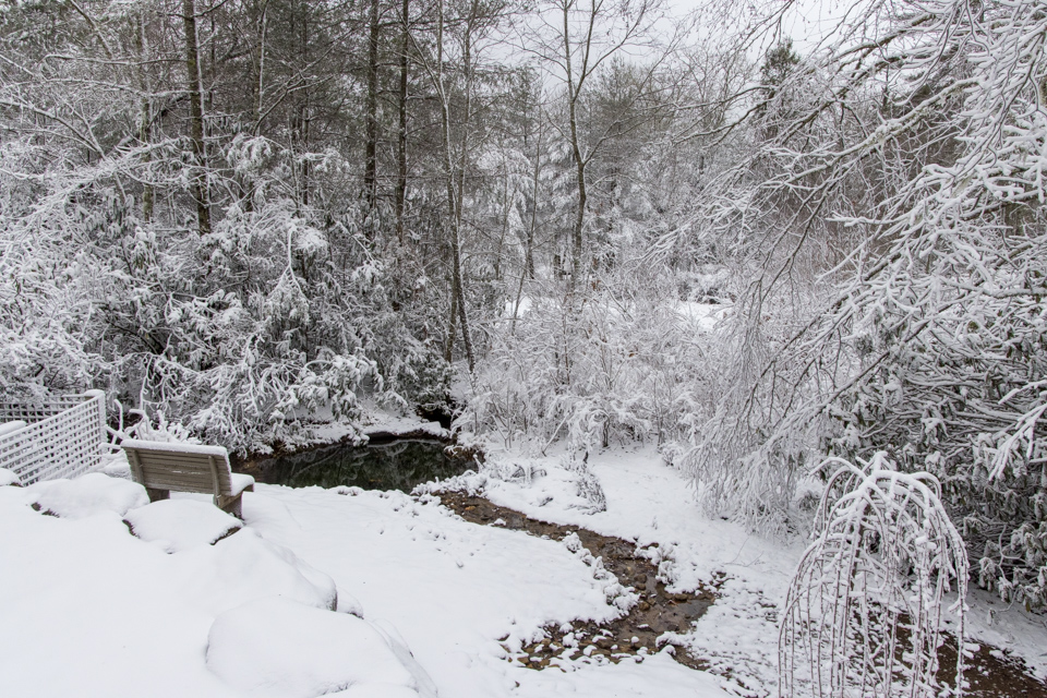 Winter Pond
