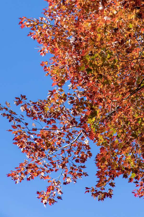 Against the Sky