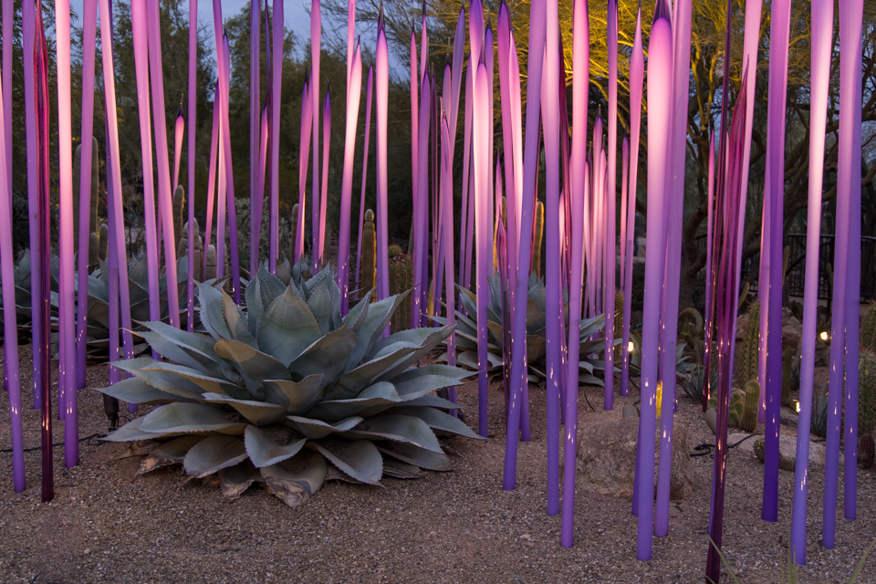Purple Fence