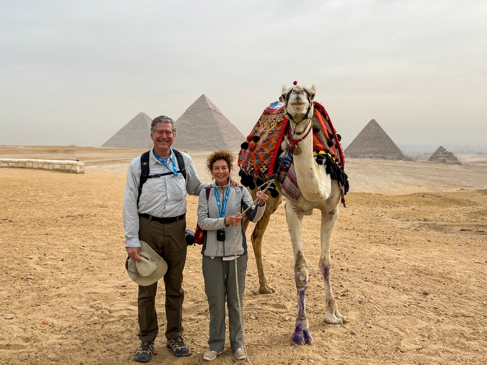 Giza Camel