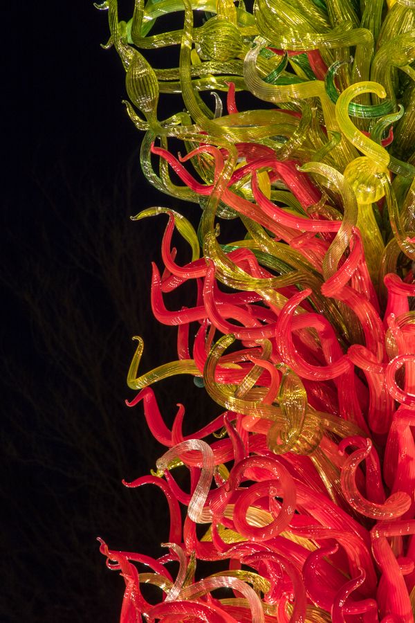 Red Tentacles