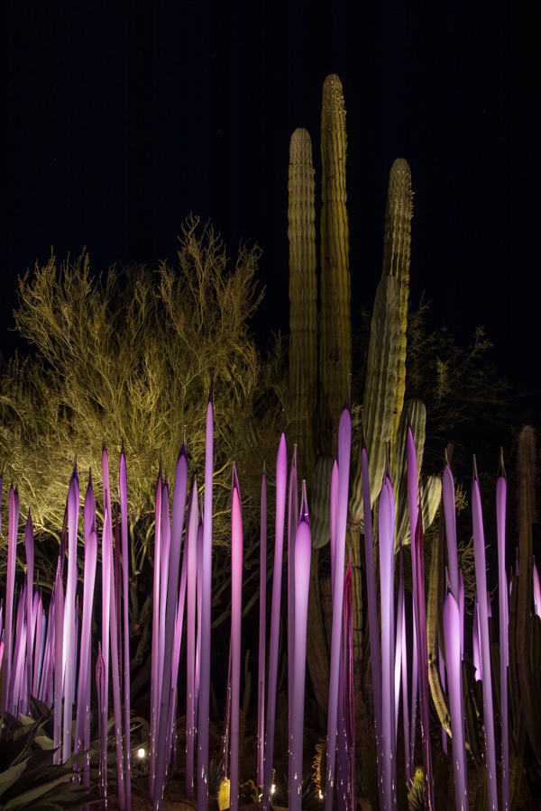 Purple Arms