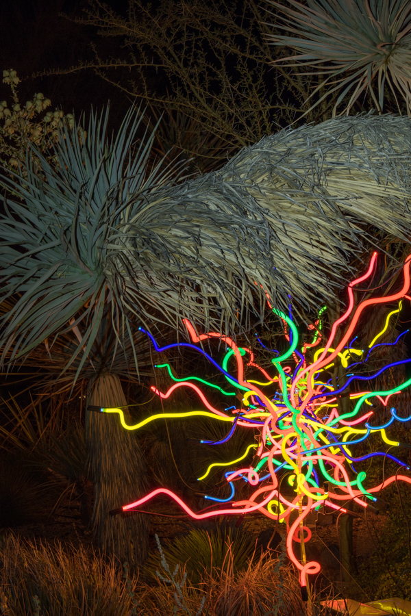 Yucca Light