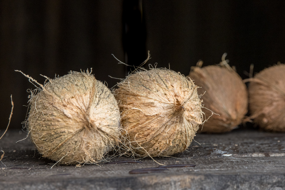 Coconuts 