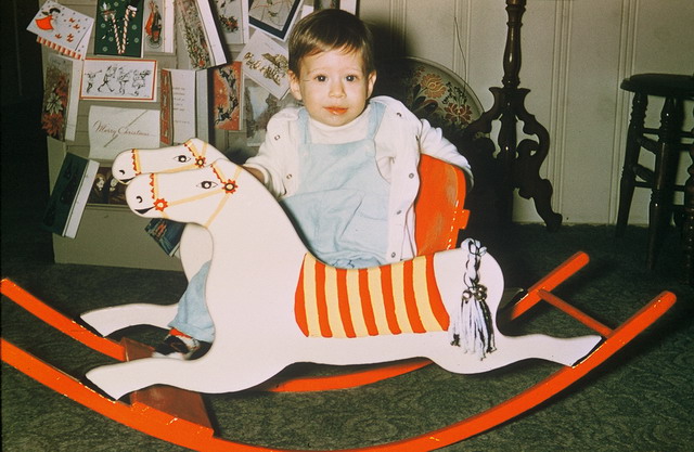 Favorite Horse