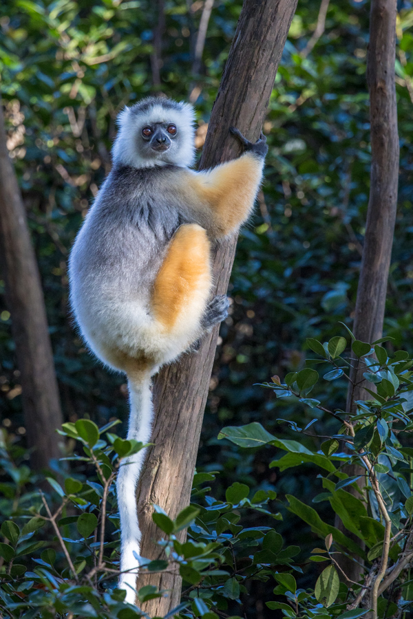 Hanging On