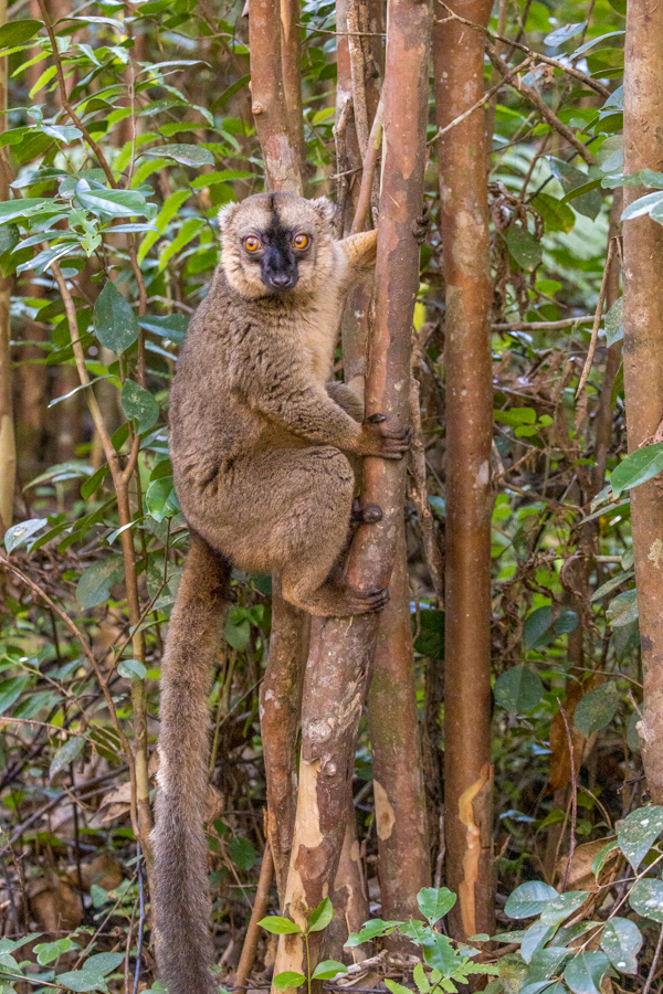 Are You Looking at Me