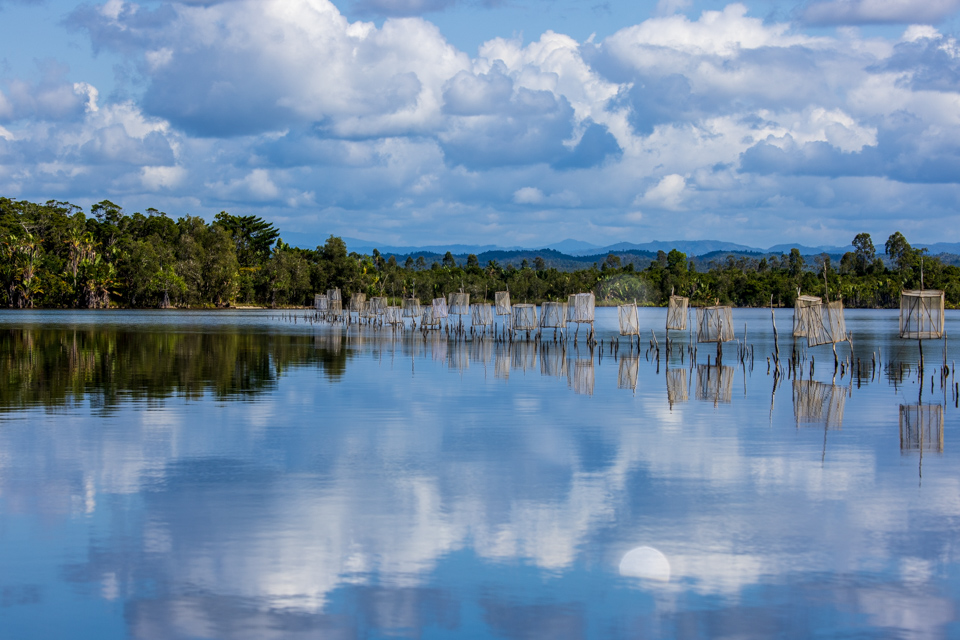 Fish Traps
