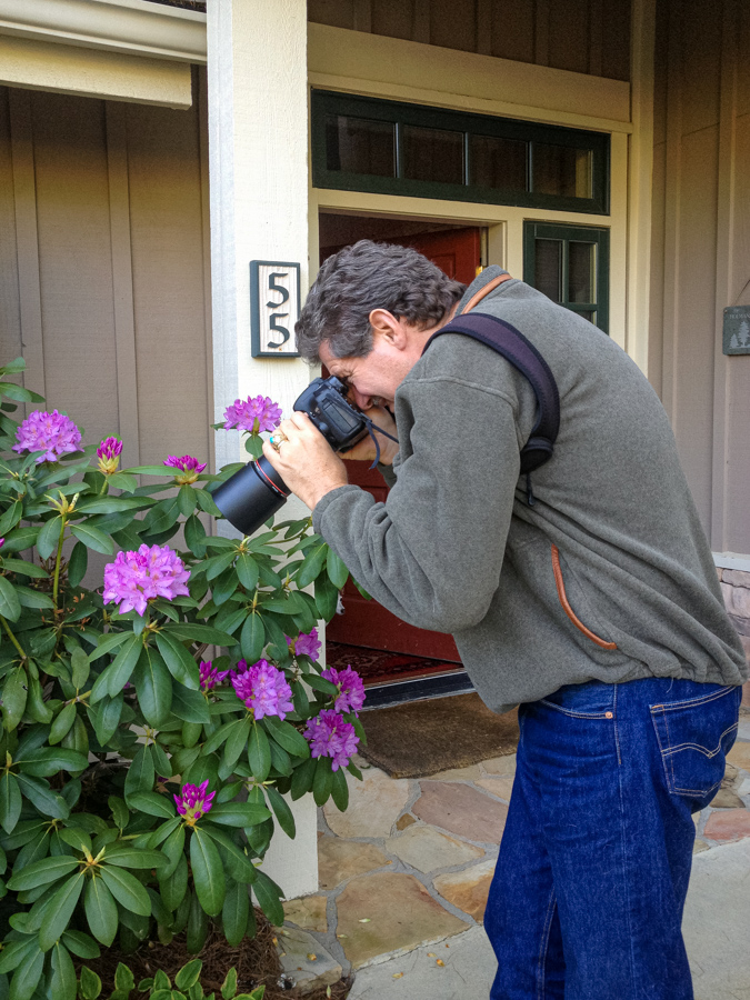 Chasing a Bee