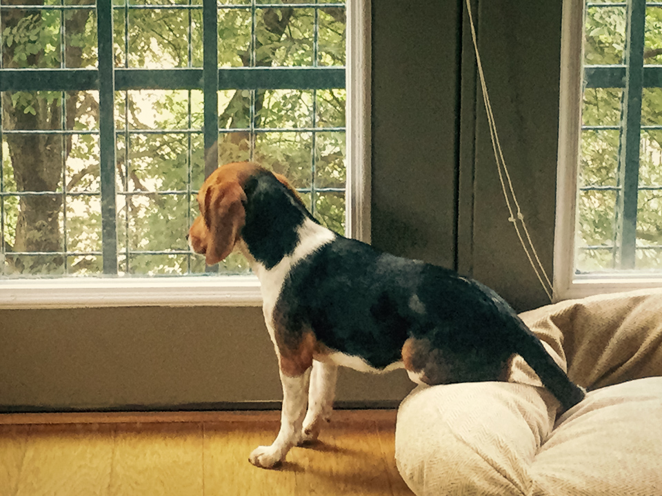 Sitting?