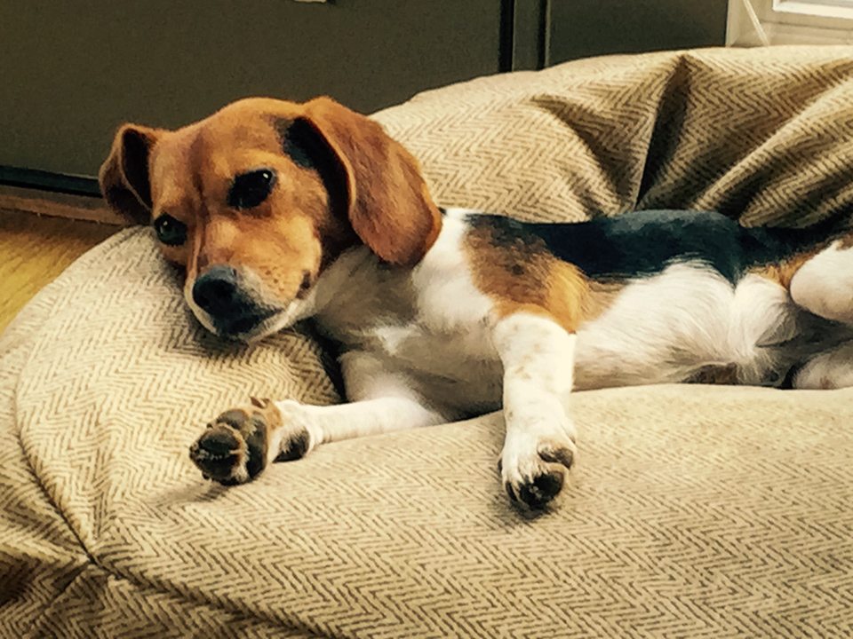 Reclining