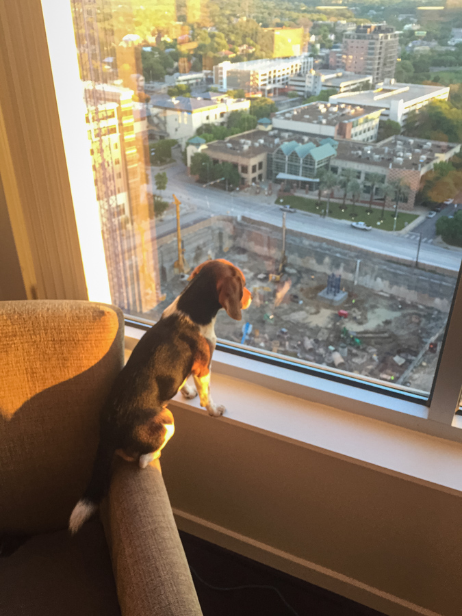 Watching Construction