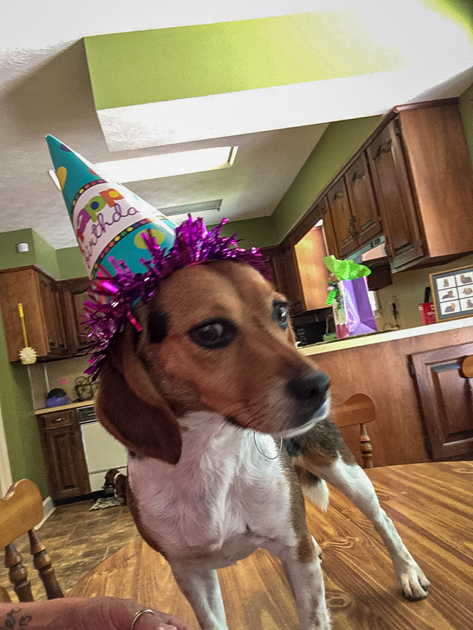 Party Girl