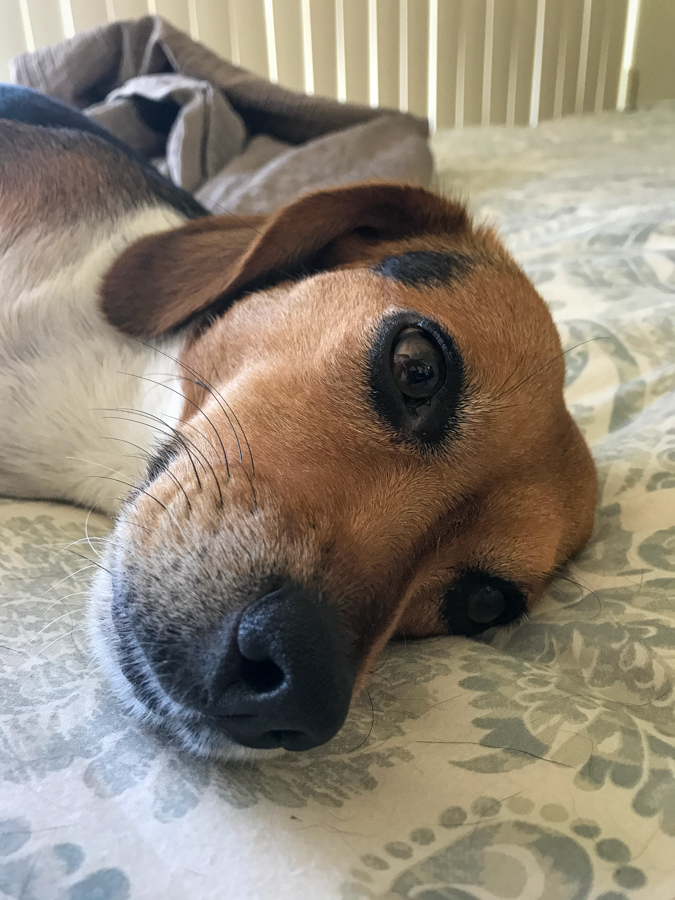 Big Nose