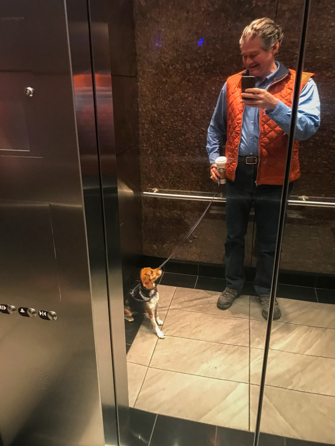 Elevator Ride