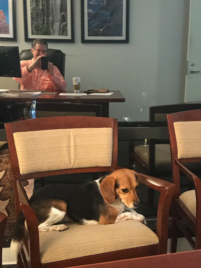 Riley at the Office