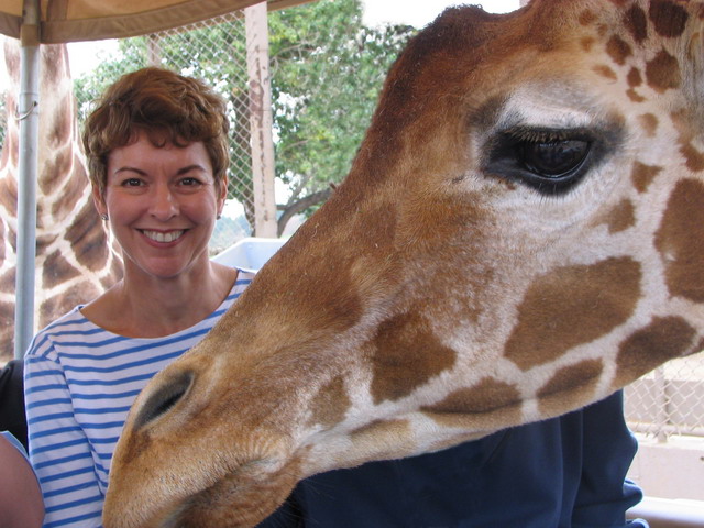 VA Up Close with Giraffe