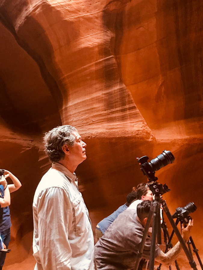 Antelope Photographer