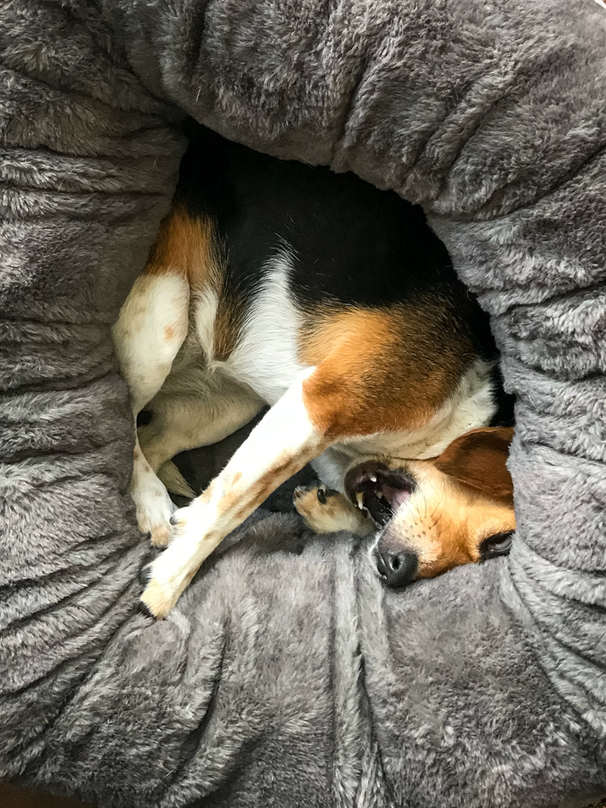 Deep in the Donut