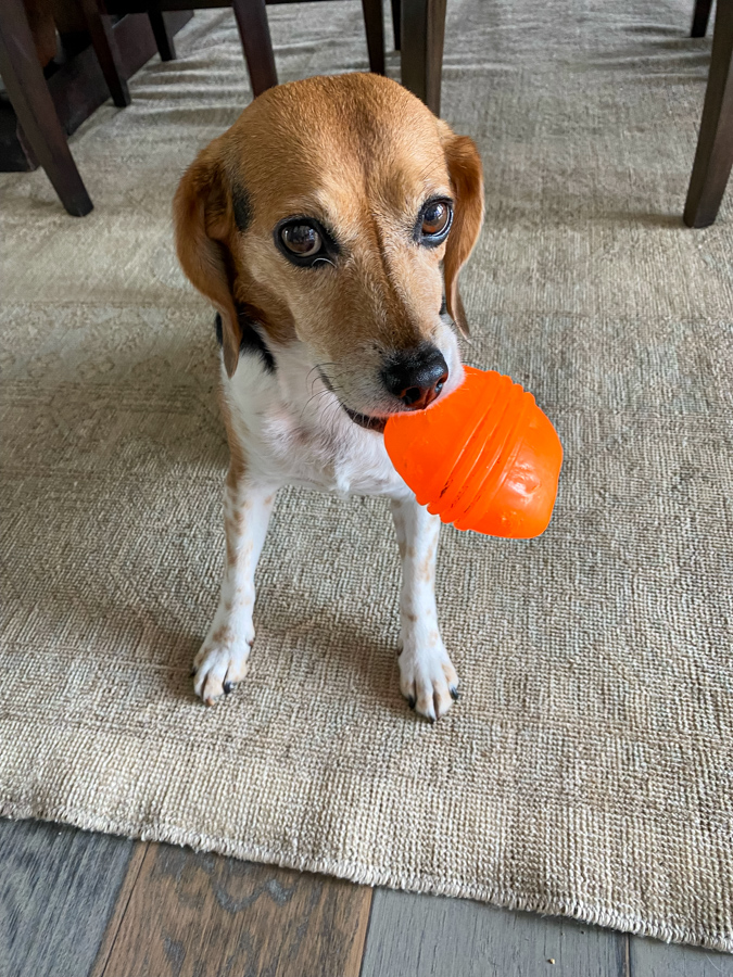 Treat?
