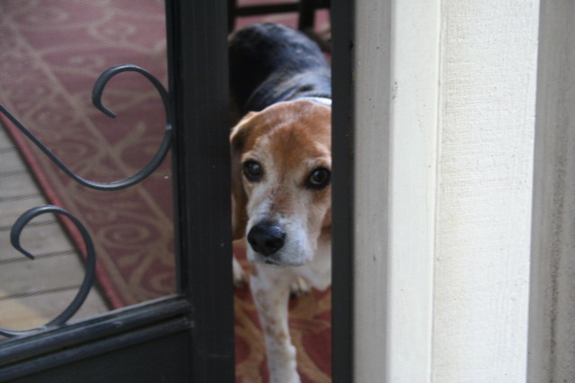 Can I COme Out