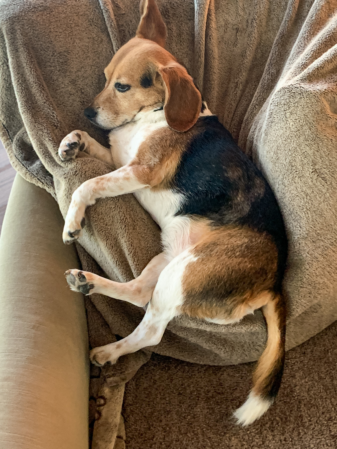 Resting in a Chair