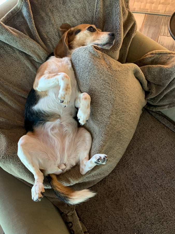 Tummy Up