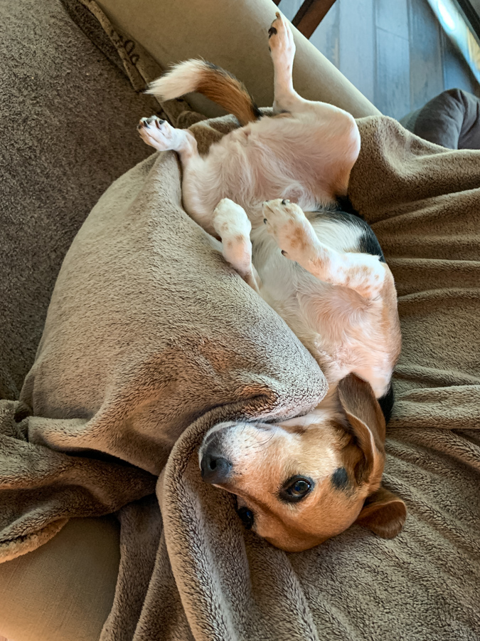 Resting Upside Down