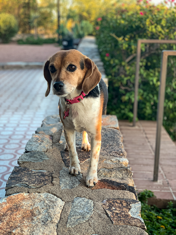 Walking the Wall