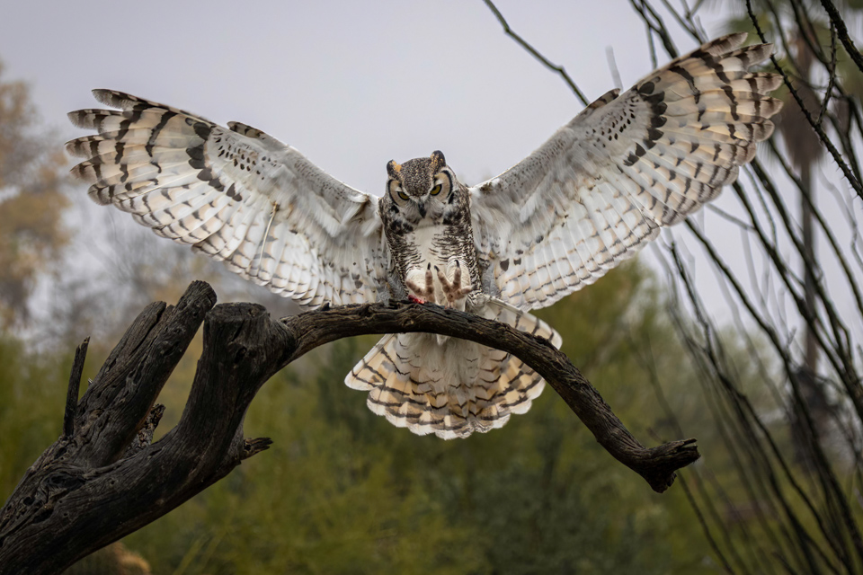 Landing