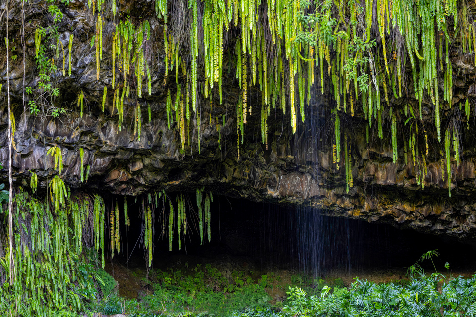 Fern Grotto