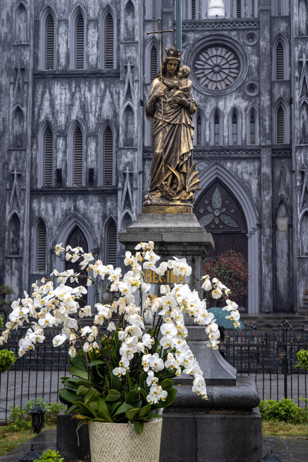 St. Joseph's Cathadral