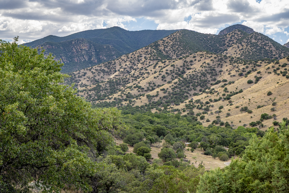 Thunder Mountians