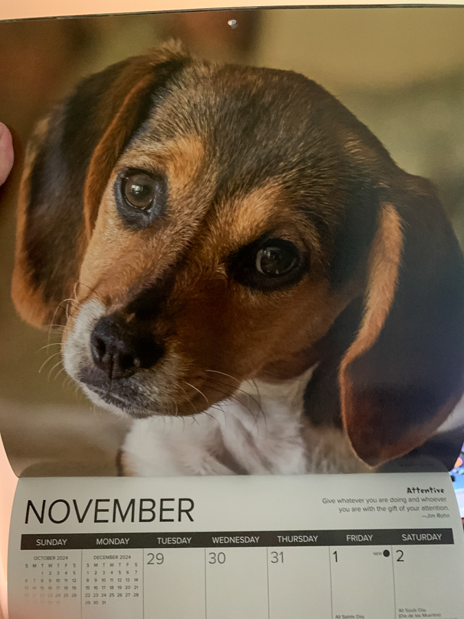 Miss November