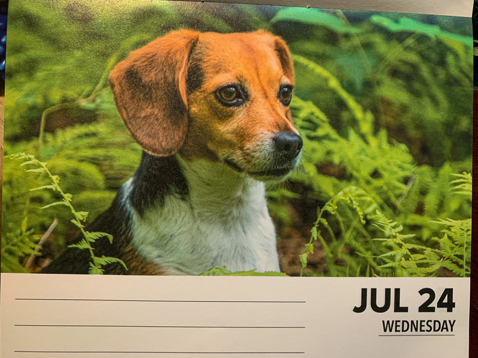 Calendar Girl