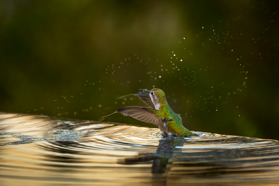 Splashing