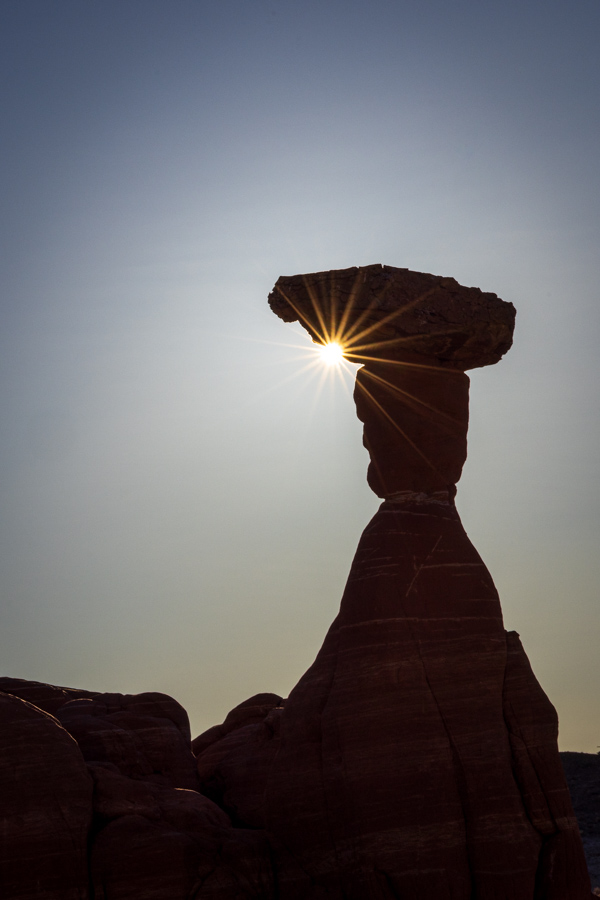 Toadstool Hoodoo