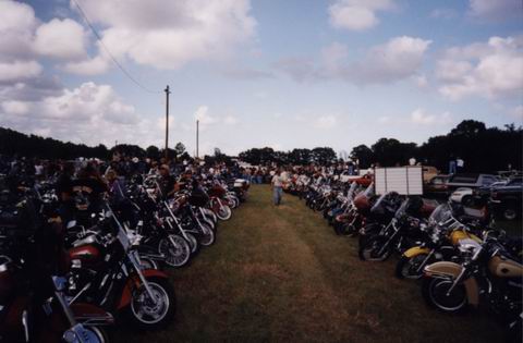 Bikes in Dytona