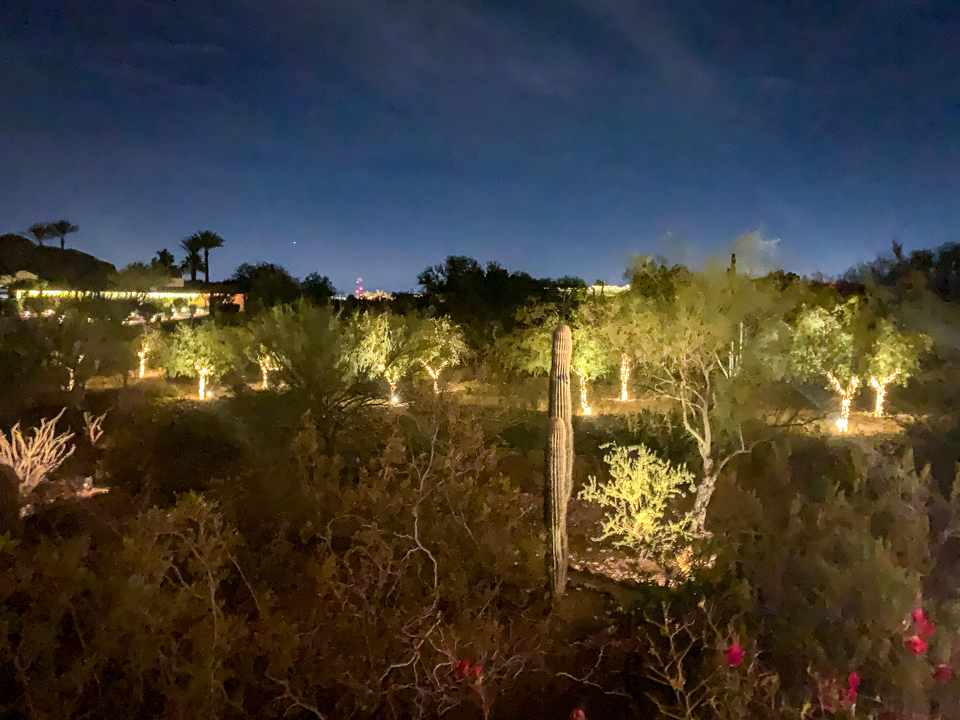 Night Lights