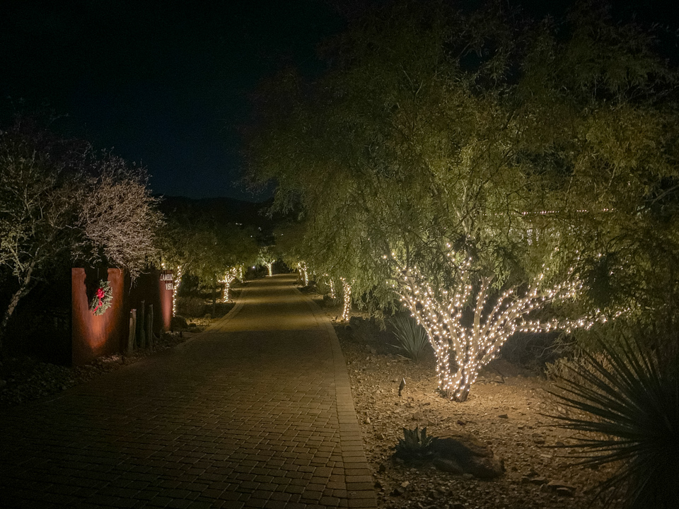 Christmas Lights