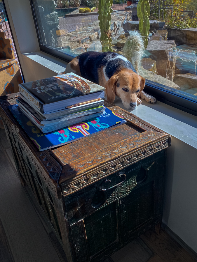 On the Ledge